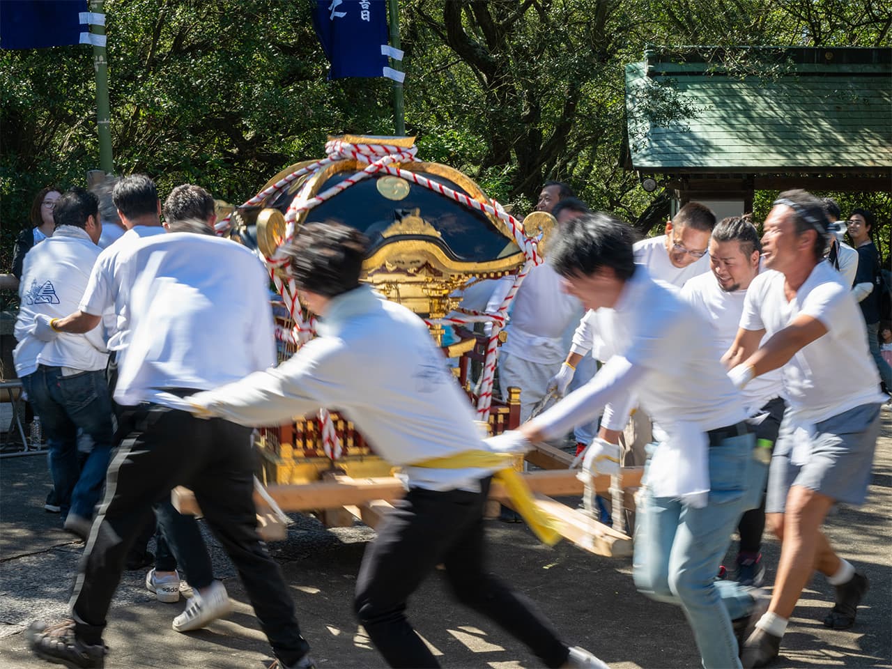 歴史を感じる大鳥神社の社殿